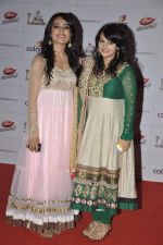 at Indian Telly Awards in Mumbai on 4th May 2013 (171).JPG